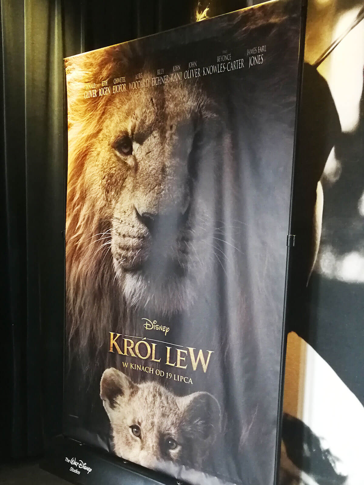 niedzielnik król lew